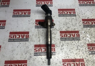 Injector Renault Megane 2 / Scenic 2 1.5 Dci Euro 4 Cod : 8200380253