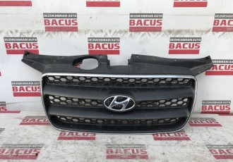 Ornament superior radiator Hyundai SAnte Fe